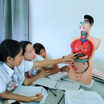 Foundation Knowledge Courses